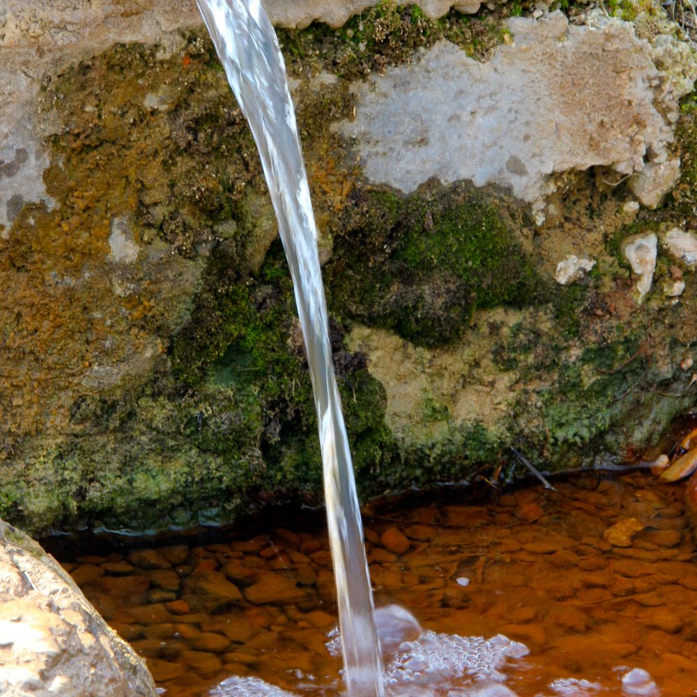 source des Estreys polignac