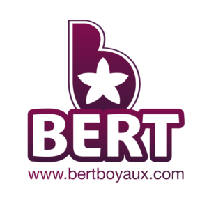 Logo bert