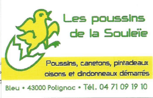 Logo poussins souleie