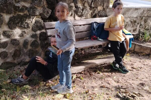 WhatsApp Image 2025-10-20 à 16.13.43_560e3758 WhatsApp Image 2025-10-20 à 16.13.43_560e3758