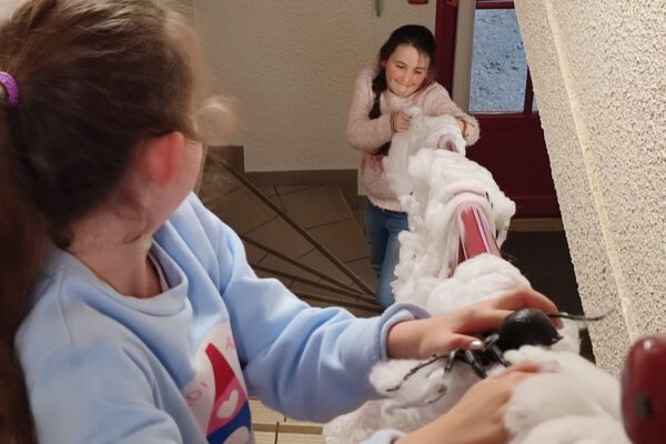 WhatsApp Image 2025-10-22 à 15.05.39_fdde0666 WhatsApp Image 2025-10-22 à 15.05.39_fdde0666