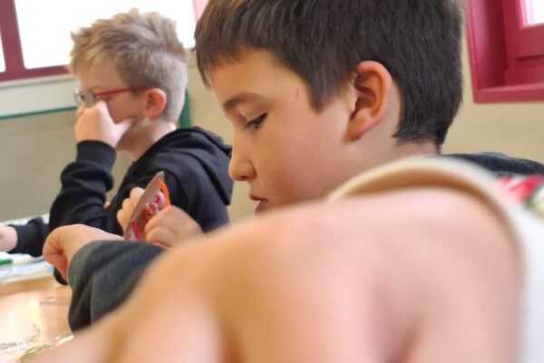 WhatsApp Image 2025-10-29 à 10.31.03_301b2bb2 WhatsApp Image 2025-10-29 à 10.31.03_301b2bb2