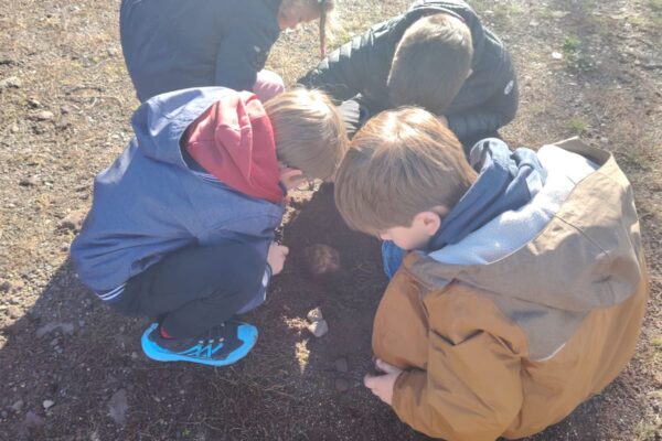 WhatsApp Image 2025-11-05 à 10.43.14_674aab5f WhatsApp Image 2025-11-05 à 10.43.14_674aab5f