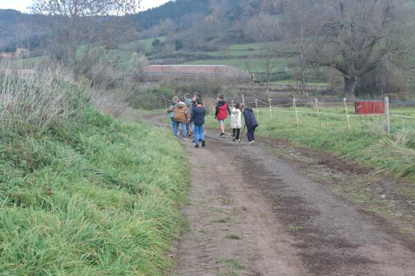 WhatsApp Image 2025-11-12 à 10.47.26_15fc89ac WhatsApp Image 2025-11-12 à 10.47.26_15fc89ac