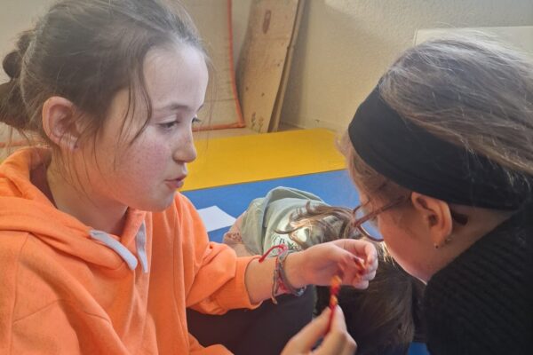 WhatsApp Image 2025-11-12 à 16.11.49_f81bc913 WhatsApp Image 2025-11-12 à 16.11.49_f81bc913