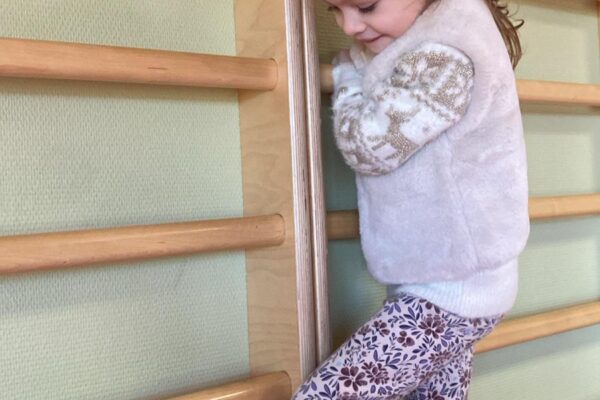 WhatsApp Image 2026-01-07 at 10.47.09 WhatsApp Image 2026-01-07 at 10.47.09