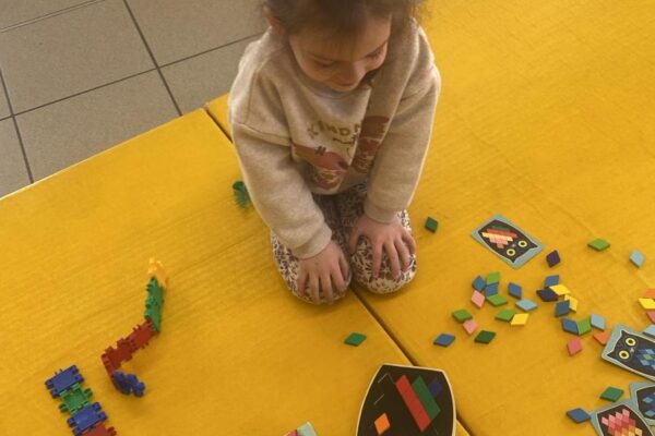 WhatsApp Image 2026-01-28 at 14.52.54 WhatsApp Image 2026-01-28 at 14.52.54