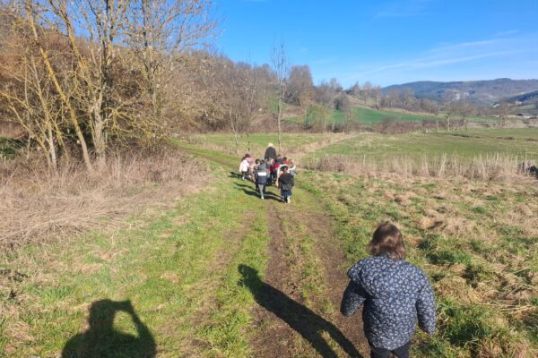 WhatsApp Image 2026-02-25 at 10.29.44 WhatsApp Image 2026-02-25 at 10.29.44