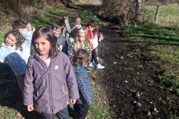 WhatsApp Image 2026-02-25 at 10.36.15 WhatsApp Image 2026-02-25 at 10.36.15