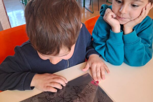 WhatsApp Image 2026-04-08 at 10.03.350 WhatsApp Image 2026-04-08 at 10.03.350