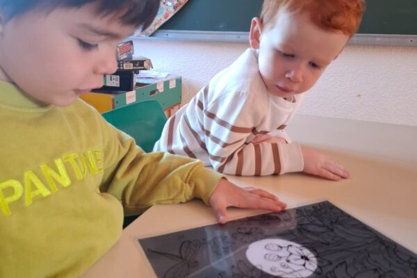 WhatsApp Image 2026-04-08 at 10.03.36 WhatsApp Image 2026-04-08 at 10.03.36