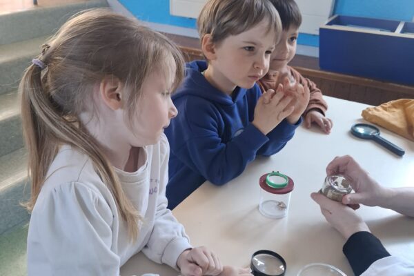 WhatsApp Image 2026-04-08 at 10.52.00 WhatsApp Image 2026-04-08 at 10.52.00