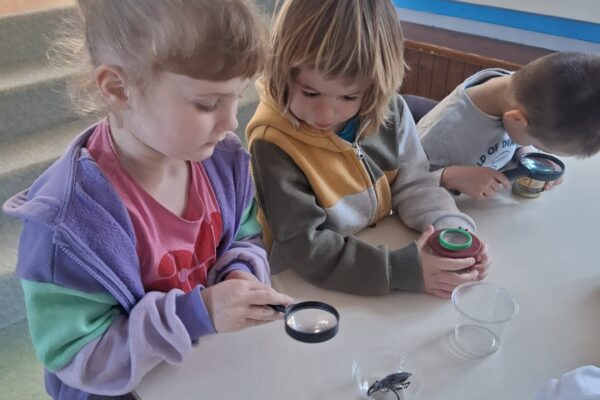 WhatsApp Image 2026-04-08 at 10.52.000 WhatsApp Image 2026-04-08 at 10.52.000