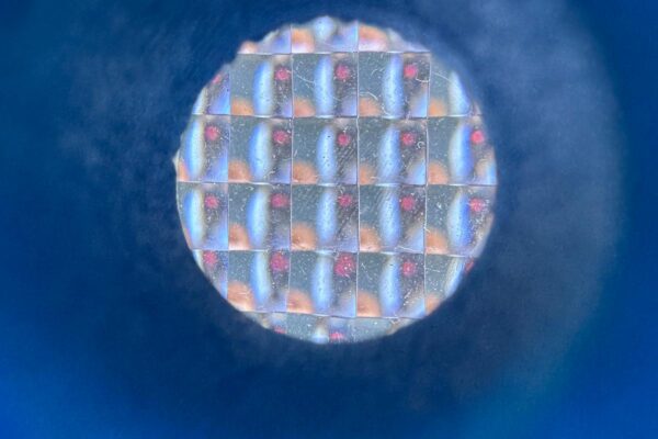 WhatsApp Image 2026-04-08 at 12.19.23 WhatsApp Image 2026-04-08 at 12.19.23