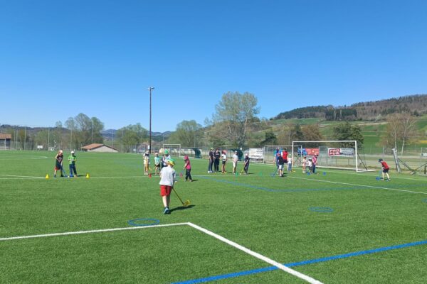 WhatsApp Image 2026-04-08 at 14.54.59 WhatsApp Image 2026-04-08 at 14.54.59